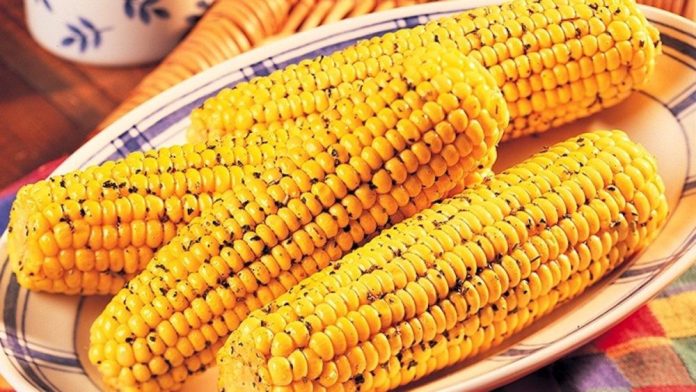 is sweet corn good for diabetes