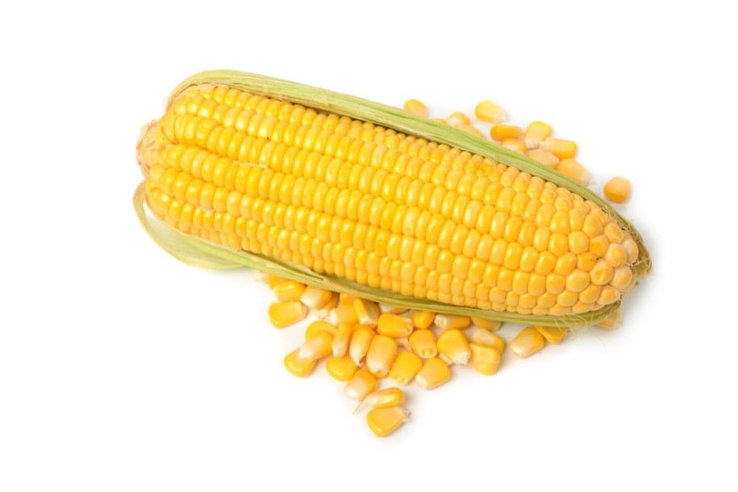 is sweet corn good for diabetes