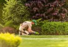 How to Build a Raised Garden Bed